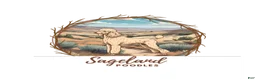 Standard Poodle dogs for sale: Standard Poodle 3 - Ad 3
