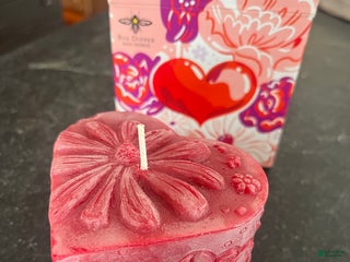 Greater Swiss Mountain Dog dogs Vanessa🐾❤️AKCHip Cert❤️🐾Call 717-859-8731 - Ad 15