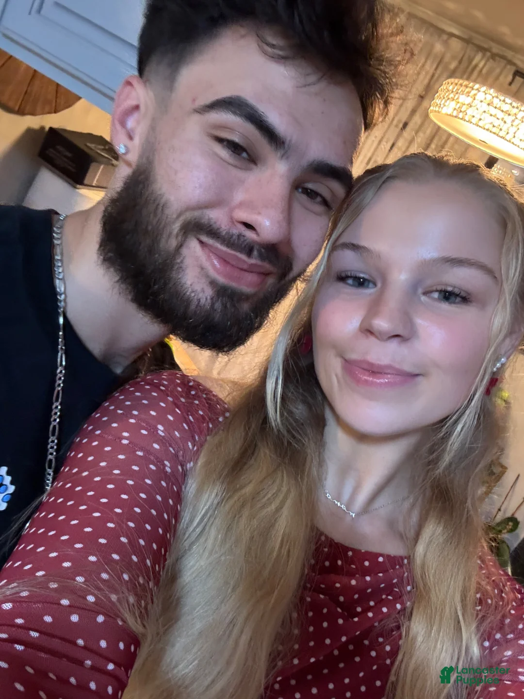 Gallery Image {{count}}