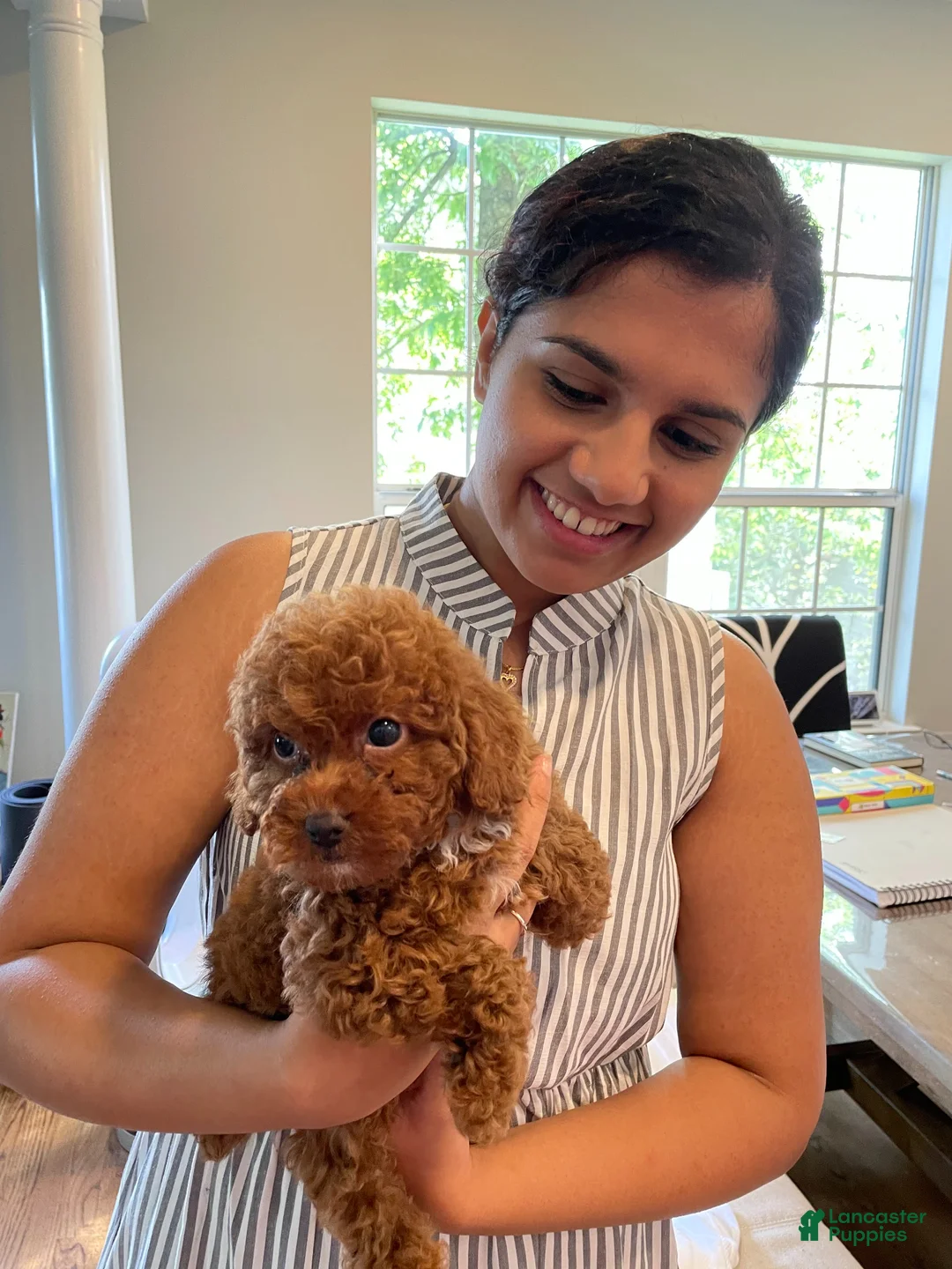 Gallery Image {{count}}