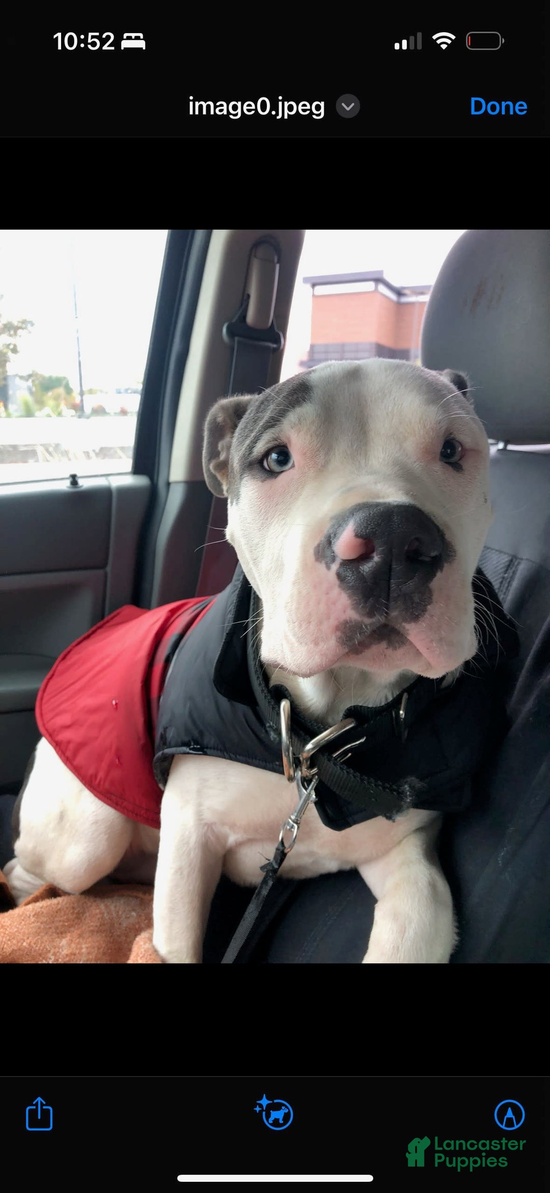 Gallery Image {{count}}