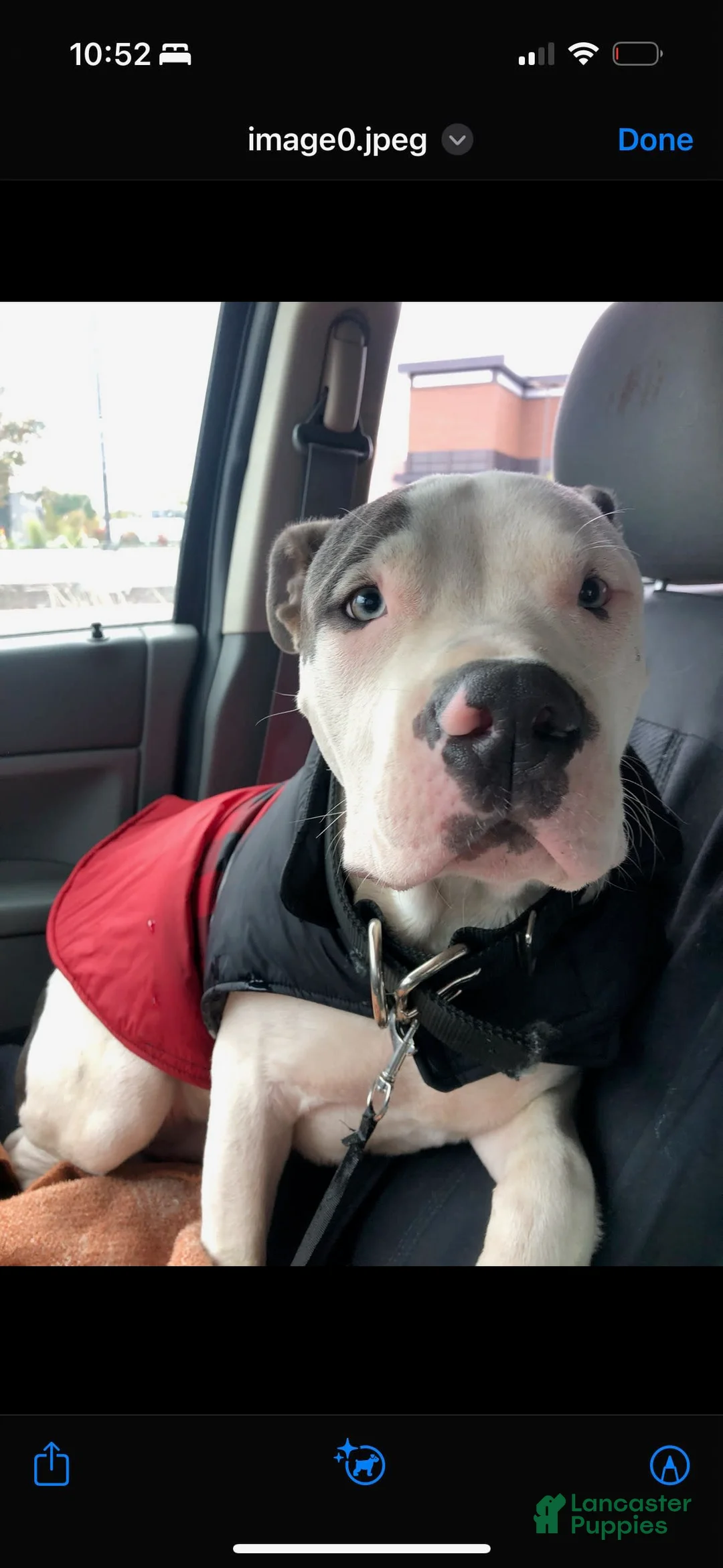 Gallery Image {{count}}