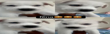 Nina