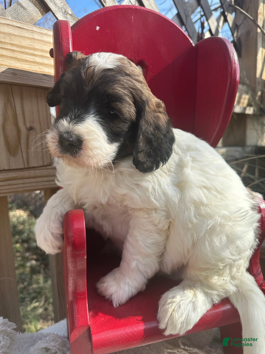 Gallery Image {{count}}