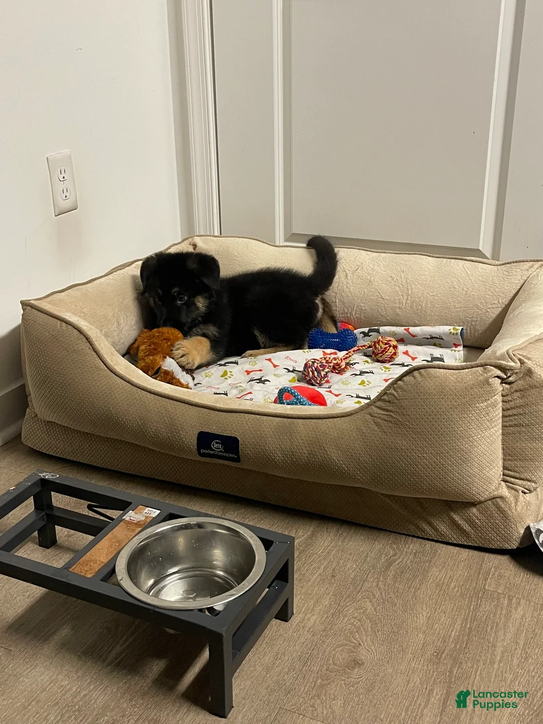 Gallery Image {{count}}