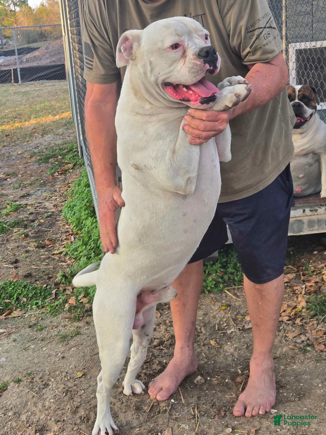 Gallery Image {{count}}