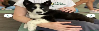 Skye