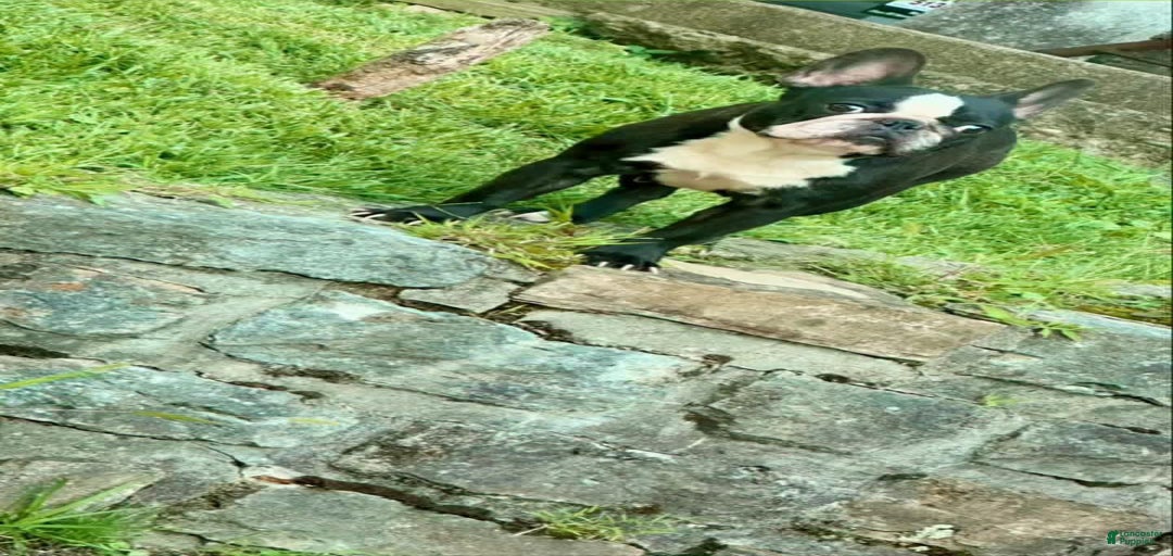 Gallery Image {{count}}