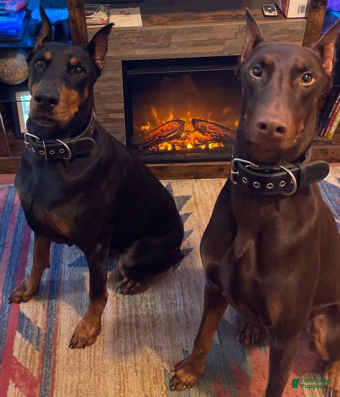 Gallery Image {{count}}