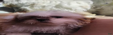 Stormy
