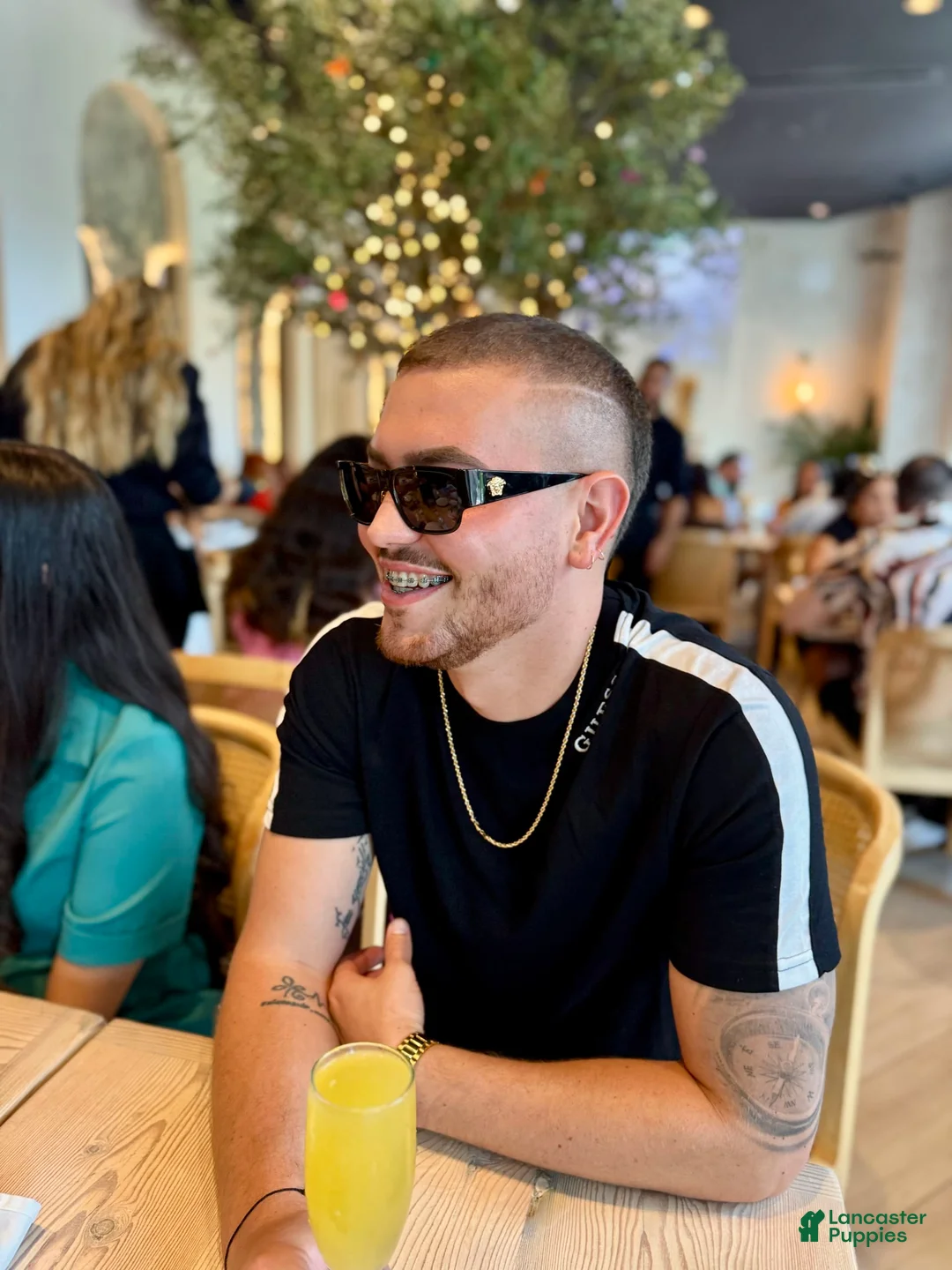 Gallery Image {{count}}