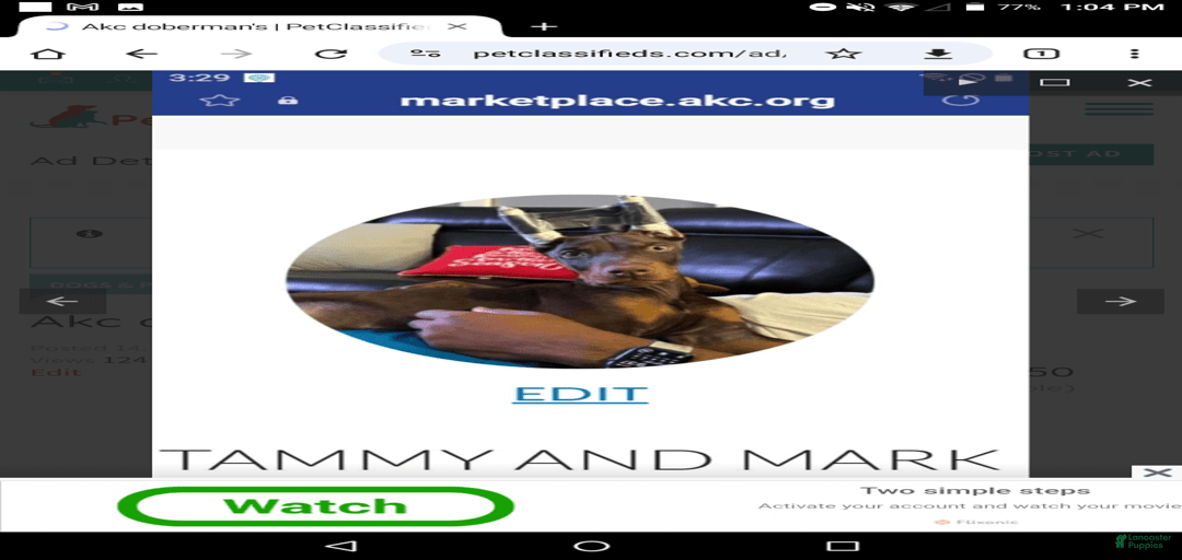 Gallery Image {{count}}