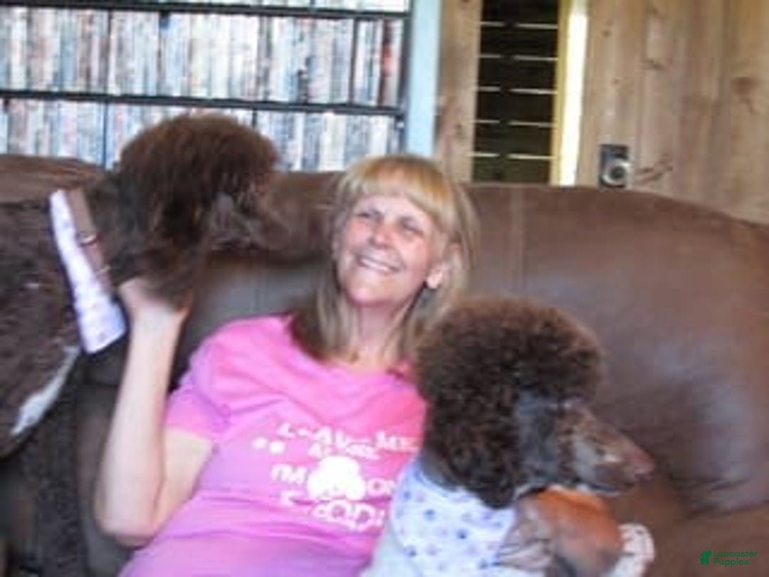 Gallery Image {{count}}