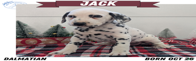 Jack