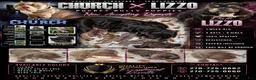 American Bully dogs for sale: American Bully 3 - Ad 2
