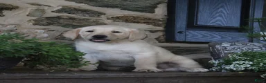 Buster