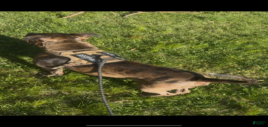 Gallery Image {{count}}