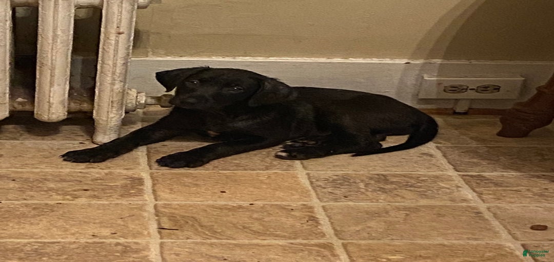 Gallery Image {{count}}