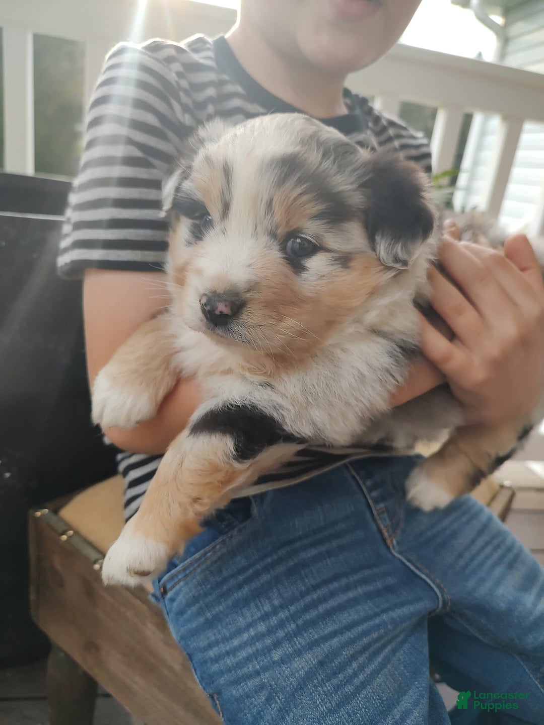 Gallery Image {{count}}