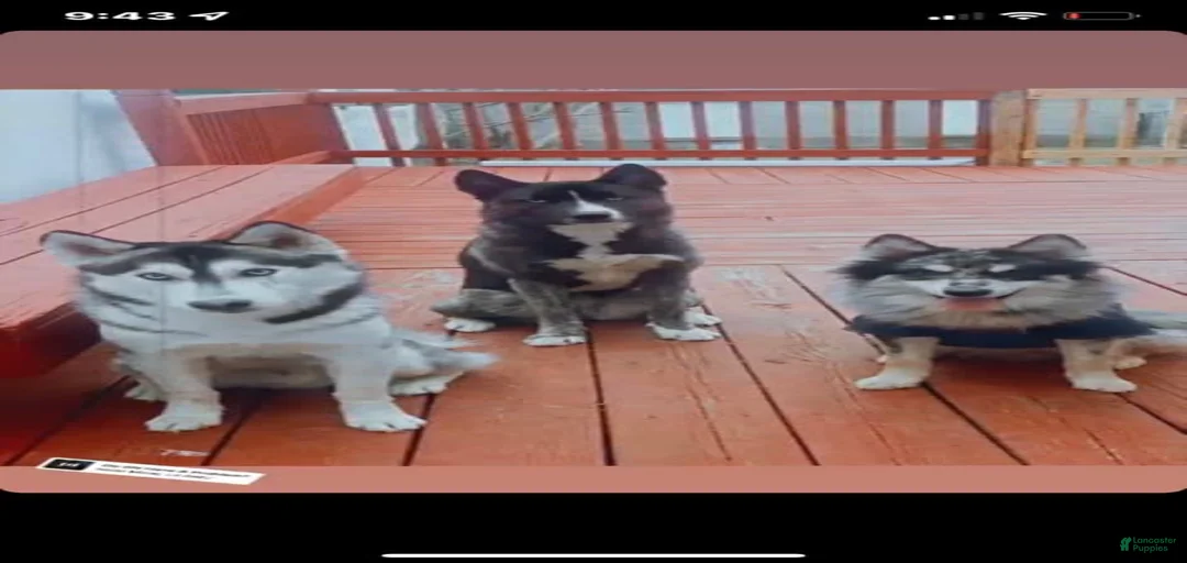 Gallery Image {{count}}