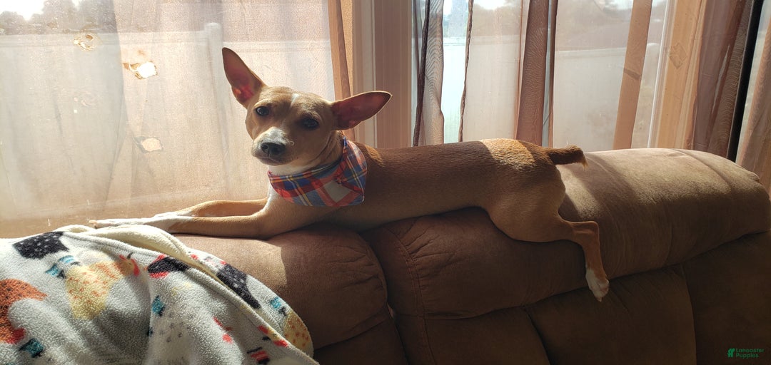 Gallery Image {{count}}