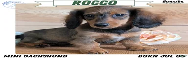Rocco