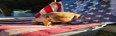 America 