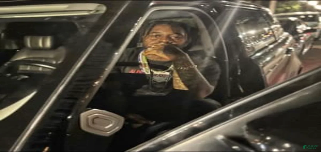 Gallery Image {{count}}