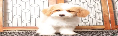 May