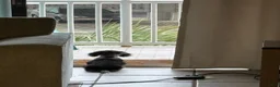 Miniature Dachshund dogs for sale: Bonnie - Ad 2