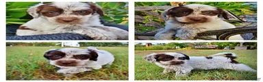 Missy-PENDING SALE!!