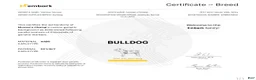 English Bulldog dogs for sale: English Bulldog 1 - Ad 4