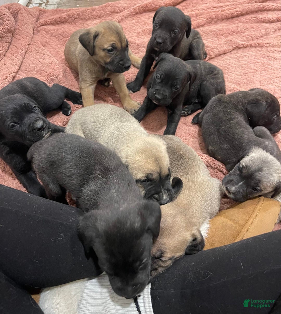 Gallery Image {{count}}