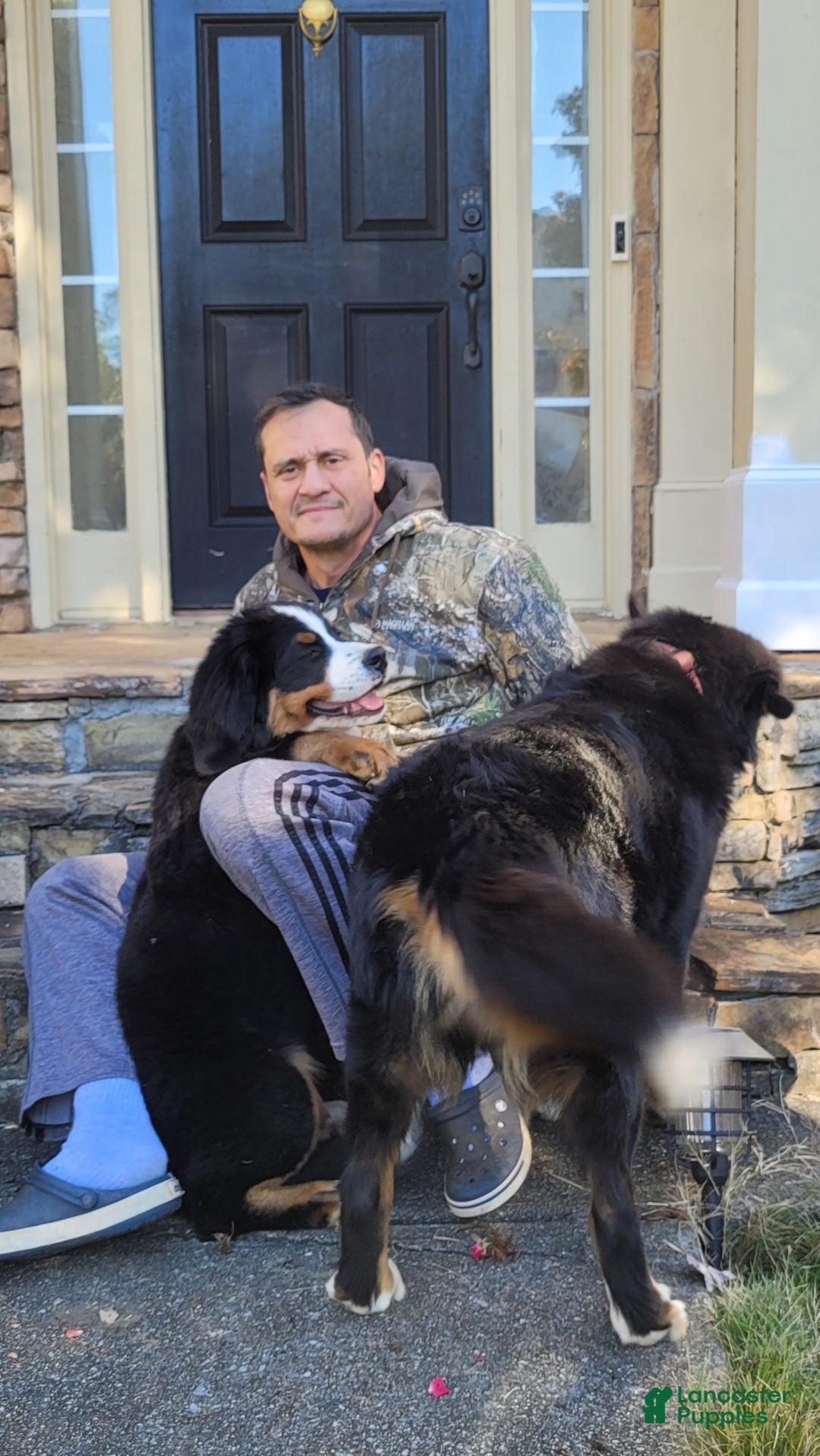 Gallery Image {{count}}