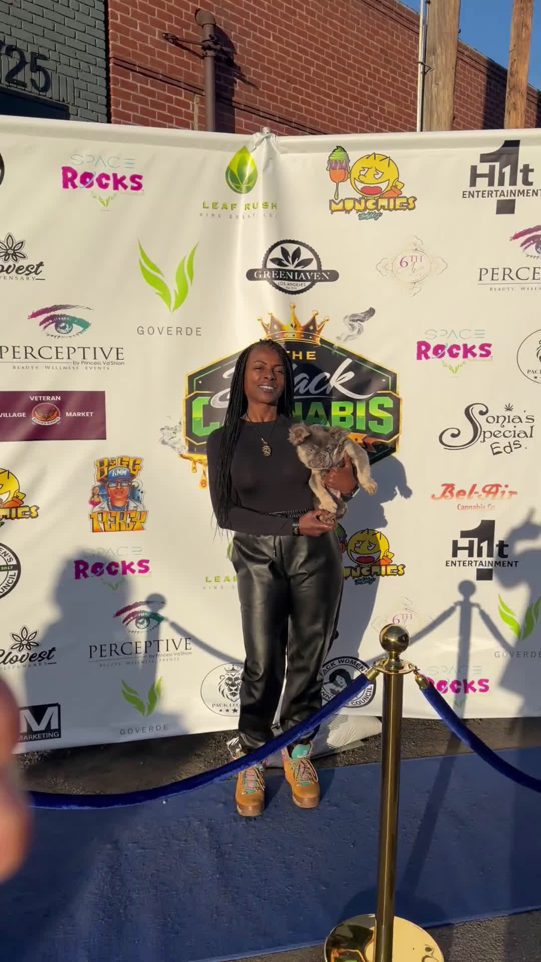 French Bulldog dogs for sale: ROCKY - LILAC TAN FLUFFY COMPACT HANDSOME PRINCE IN LA CA - USA DELIVERY  - Video 1