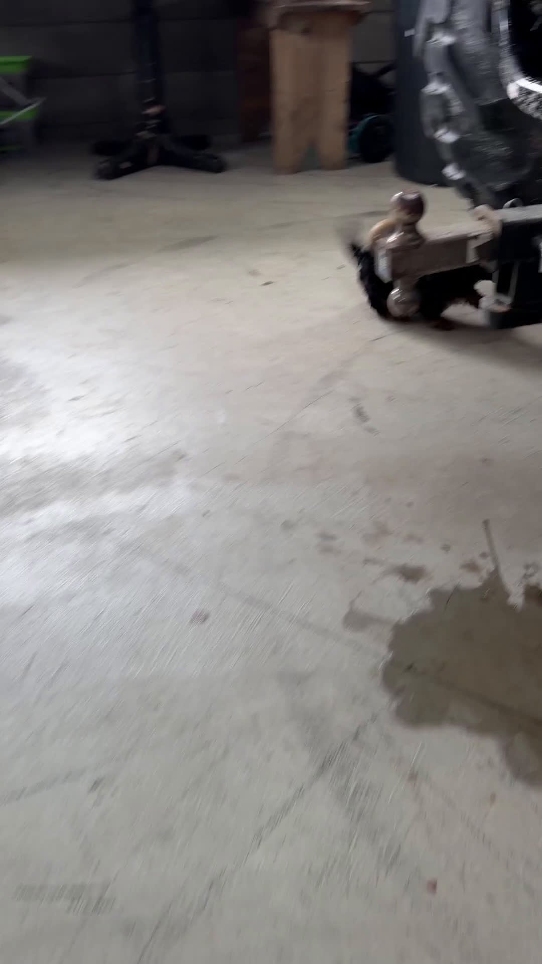 Cavapoo dogs for sale: Remy - Video 1