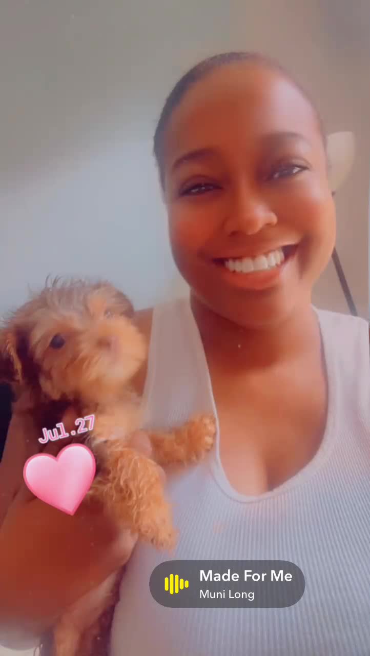 Mixed Breed dogs for sale: Pebbles  - Video 5