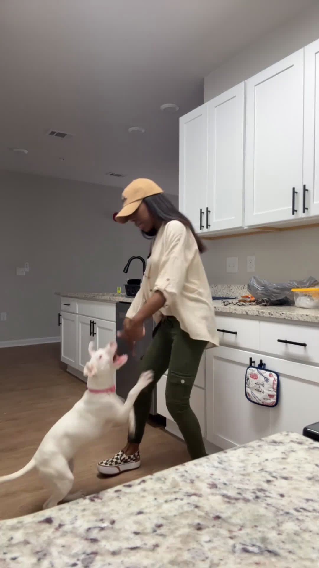 Mixed Breed dogs for sale: Sugar - Video 1