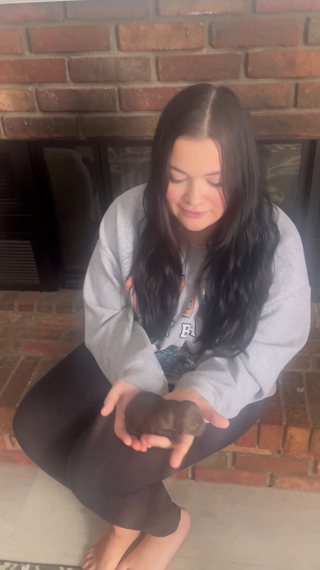 Labradoodle dogs for sale: Comet - Video 1