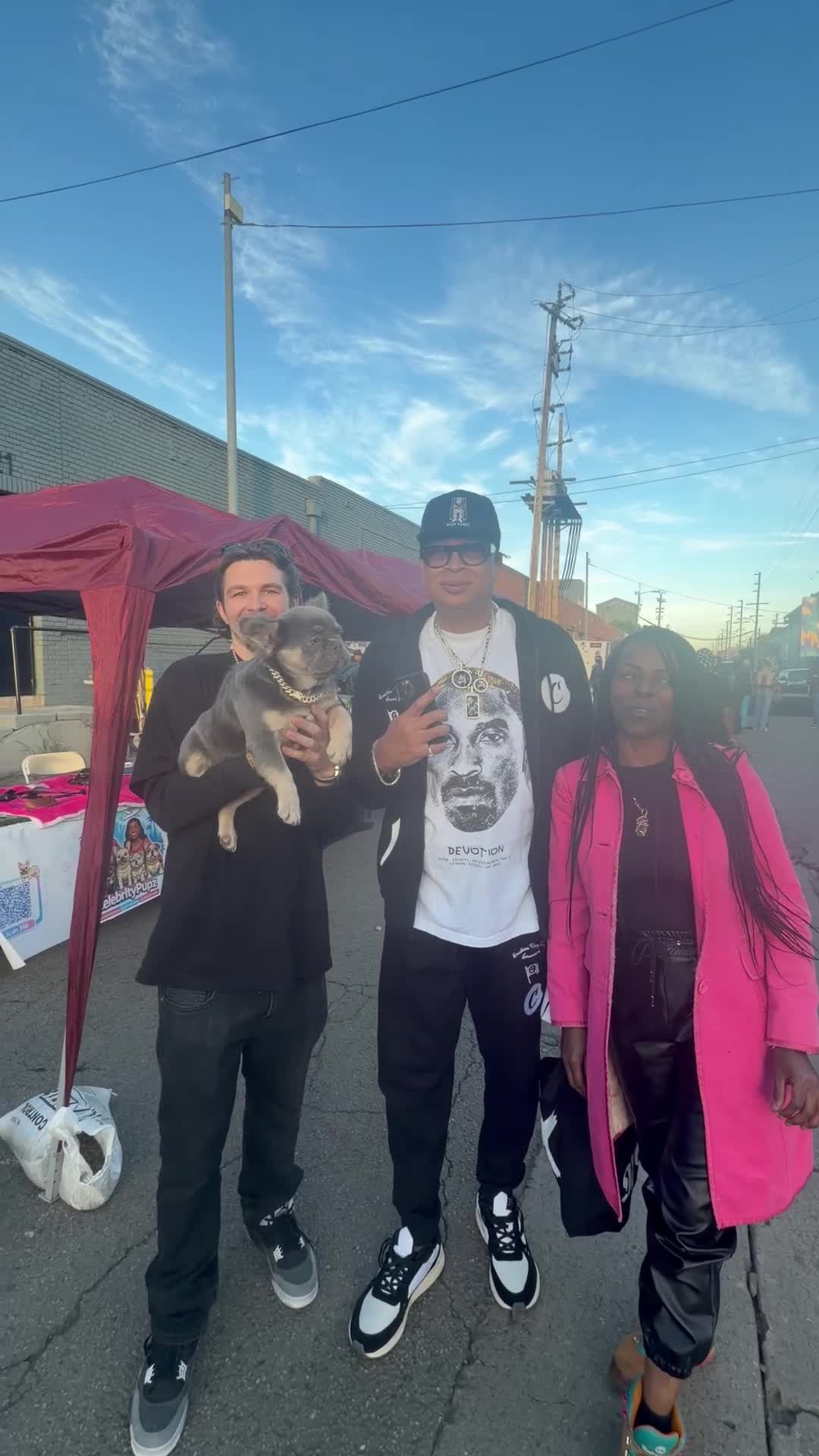 French Bulldog dogs for sale: Rocky - Rare Lilac Tan Visual Fluffy French Bulldog – Green Eyes 💎 - Video 5