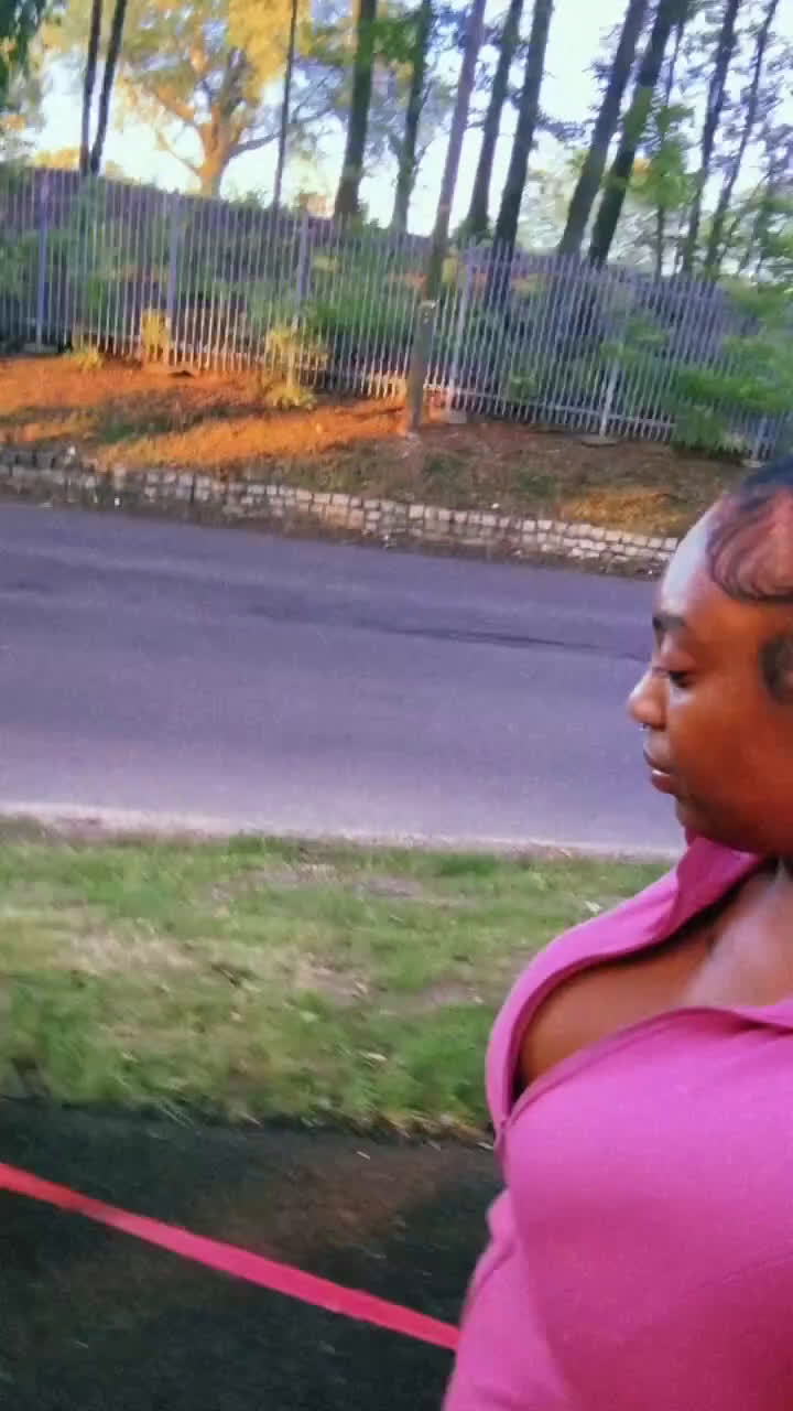 Yorkiepoo dogs for sale: Yorkiepoo Puppy 2 - Video 2