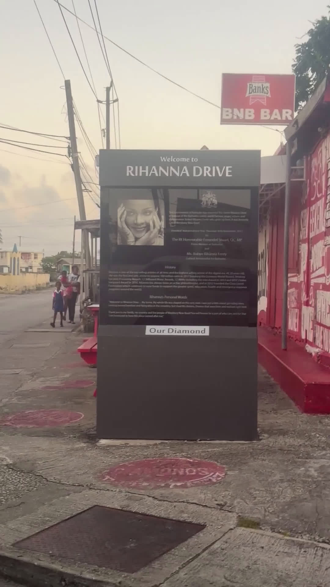 Yorkiepoo dogs for sale: Yorkiepoo Puppy 1 - Video 1