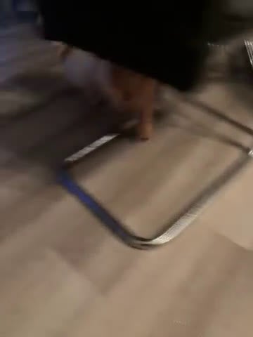 Shih Tzu dogs for sale: Shih Tzu Puppy 1 - Video 1