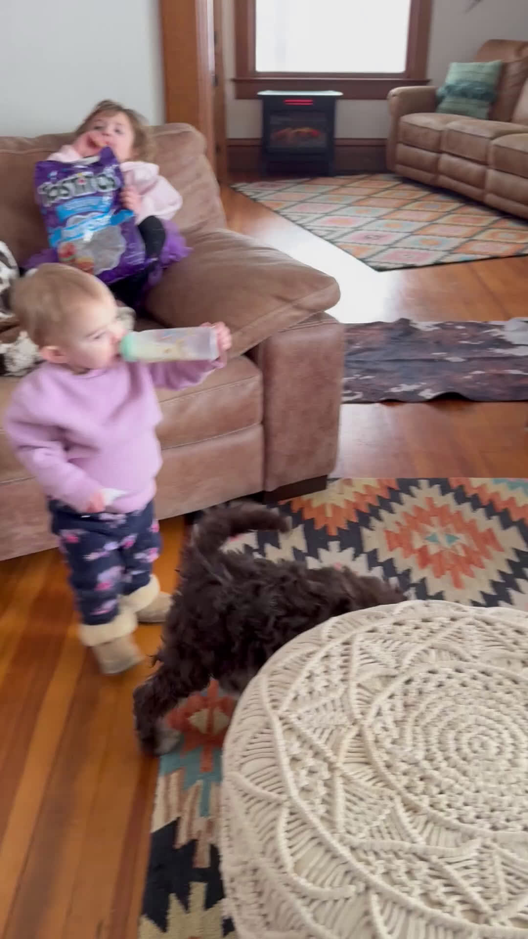 Mixed Breed dogs for sale: Pearl - Video 2