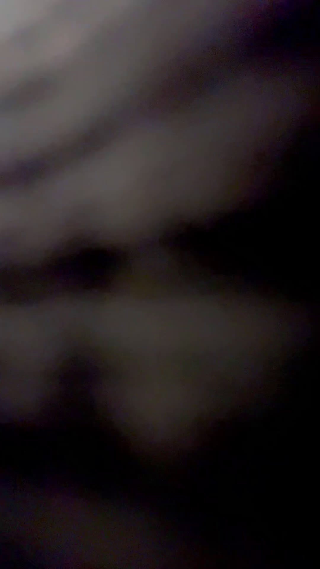 Mixed Breed dogs for sale: Midnight - Video 5