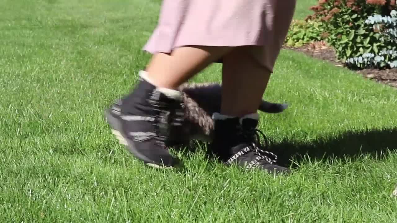 Mini Bernedoodle dogs for sale: Molly🎀 - Video 3