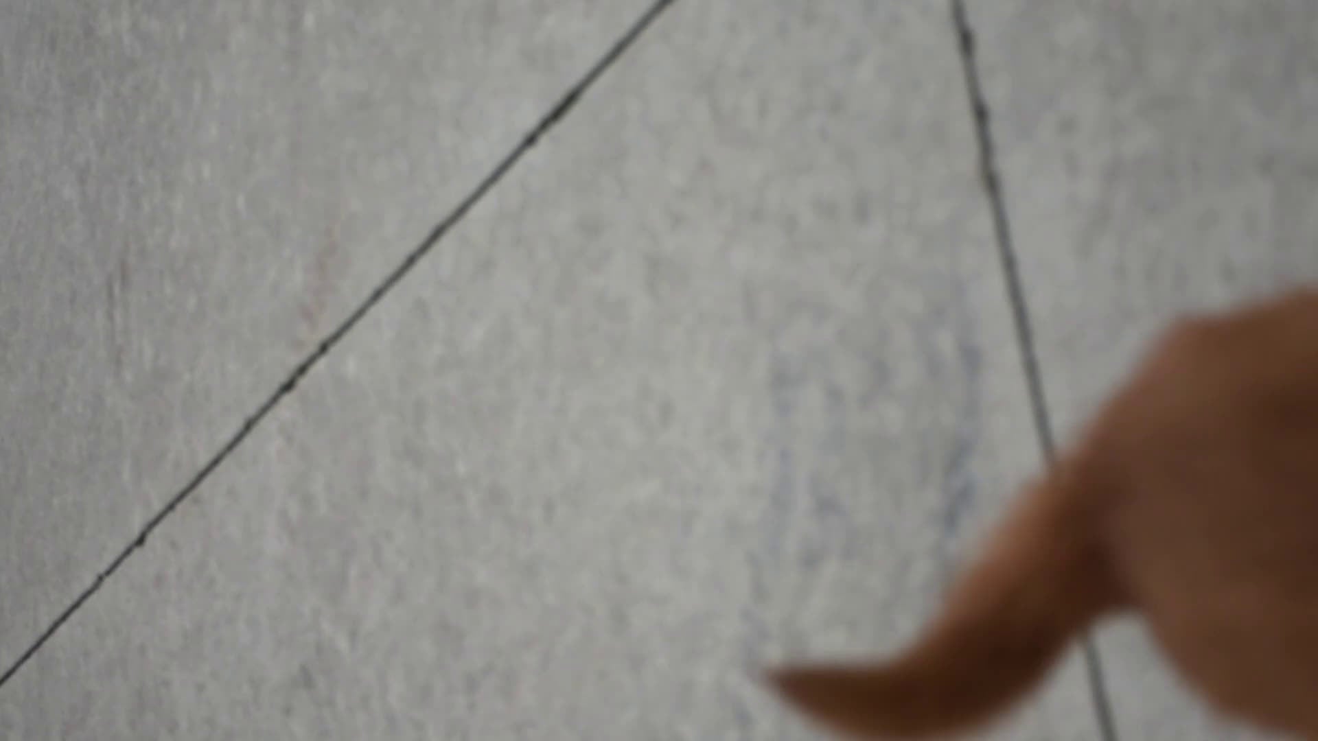 Golden Retriever dogs for sale: Sydney   Genetic/OFA - Video 2