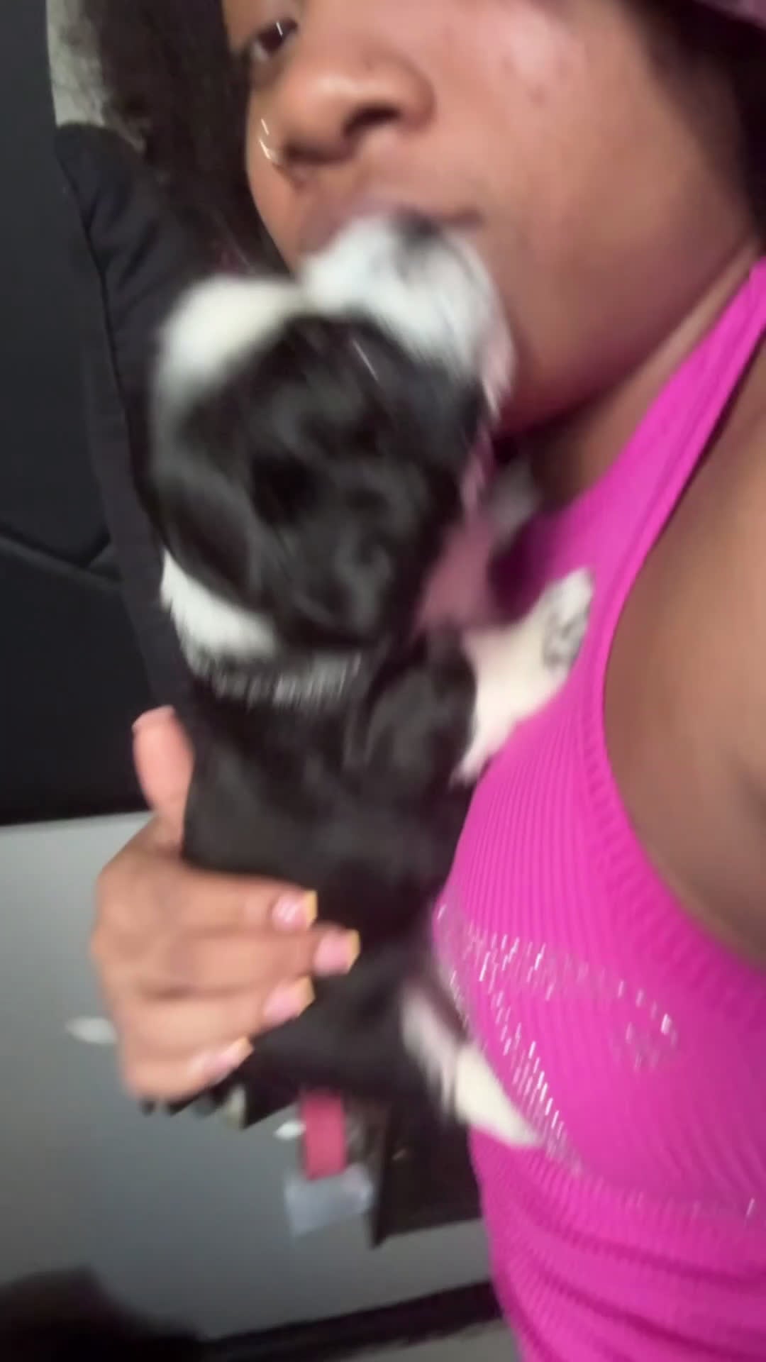 Mixed Breed dogs for sale: Fendi - Video 1