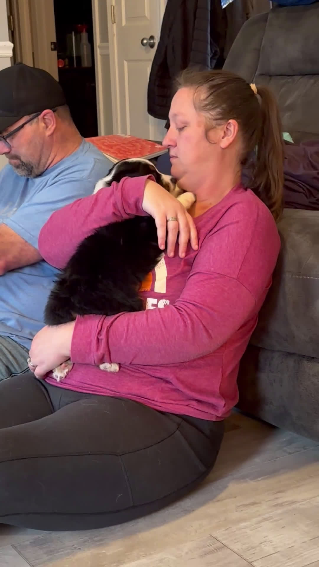 Australian Shepherd dogs for sale: Anchor - Video 2