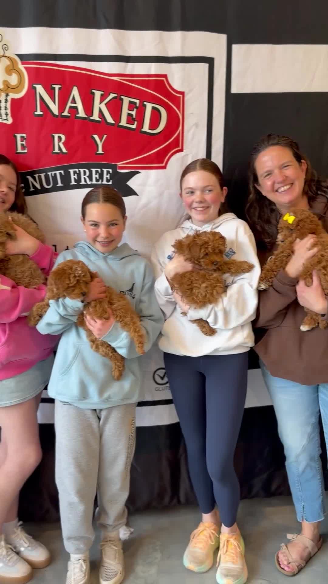 Cavapoo dogs for sale: 🐾 Remington 🇬🇧 Playful Sweet Hypoallergenic - Video 1